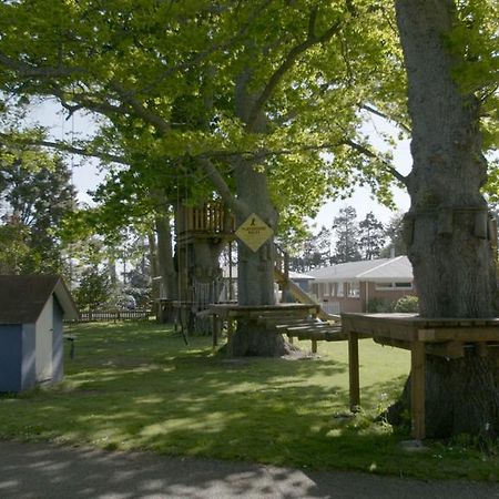 Te Aroha Holiday Park And Motels エクステリア 写真