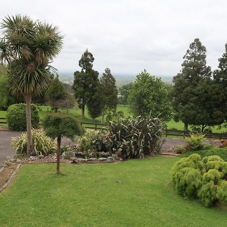 Te Aroha Holiday Park And Motels エクステリア 写真