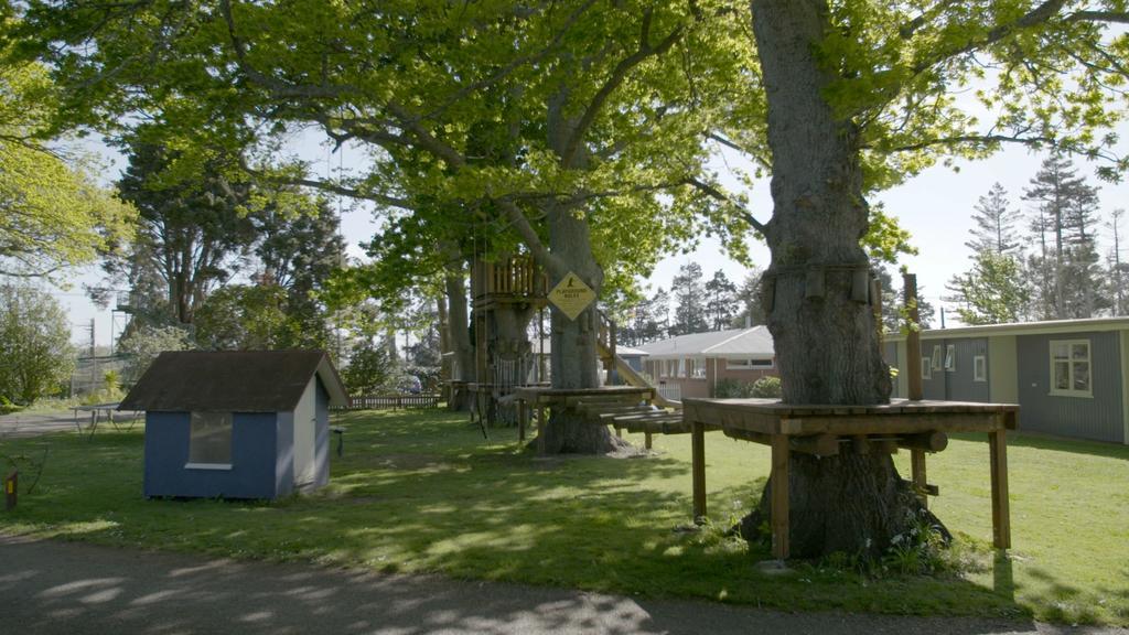 Te Aroha Holiday Park And Motels エクステリア 写真