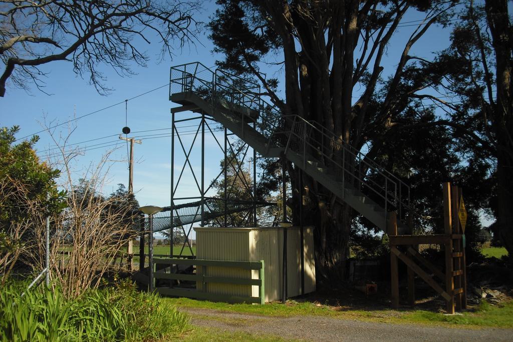 Te Aroha Holiday Park And Motels エクステリア 写真