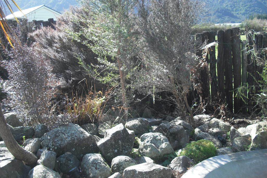 Te Aroha Holiday Park And Motels エクステリア 写真