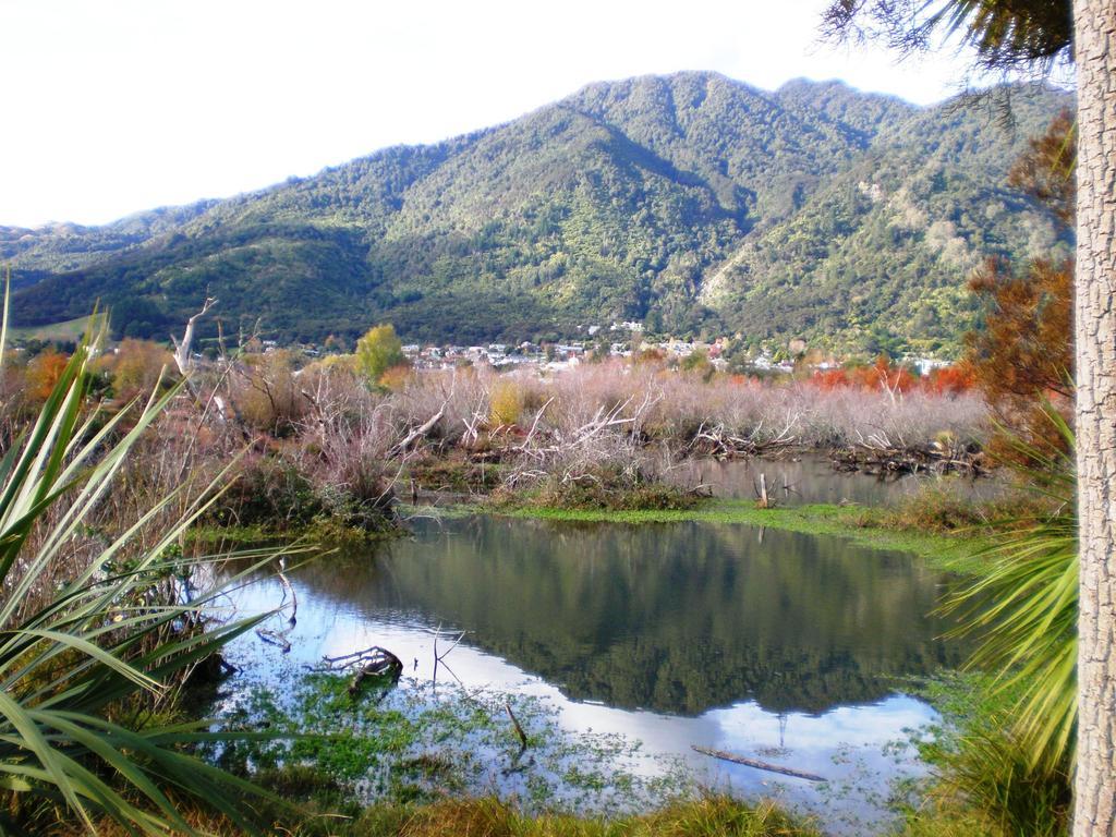 Te Aroha Holiday Park And Motels 部屋 写真